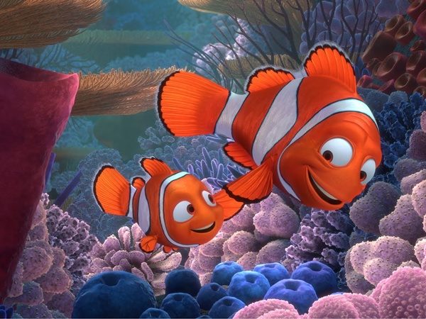 Alla ricerca di Nemo